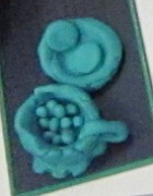 tao_art_2013-02-05