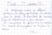 selva_ecrit_2015-09-01