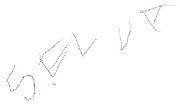 selva_graphisme_2012-12-04