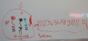 selva_nombres_2014-02-24