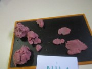 nila_art_2013-09-17
